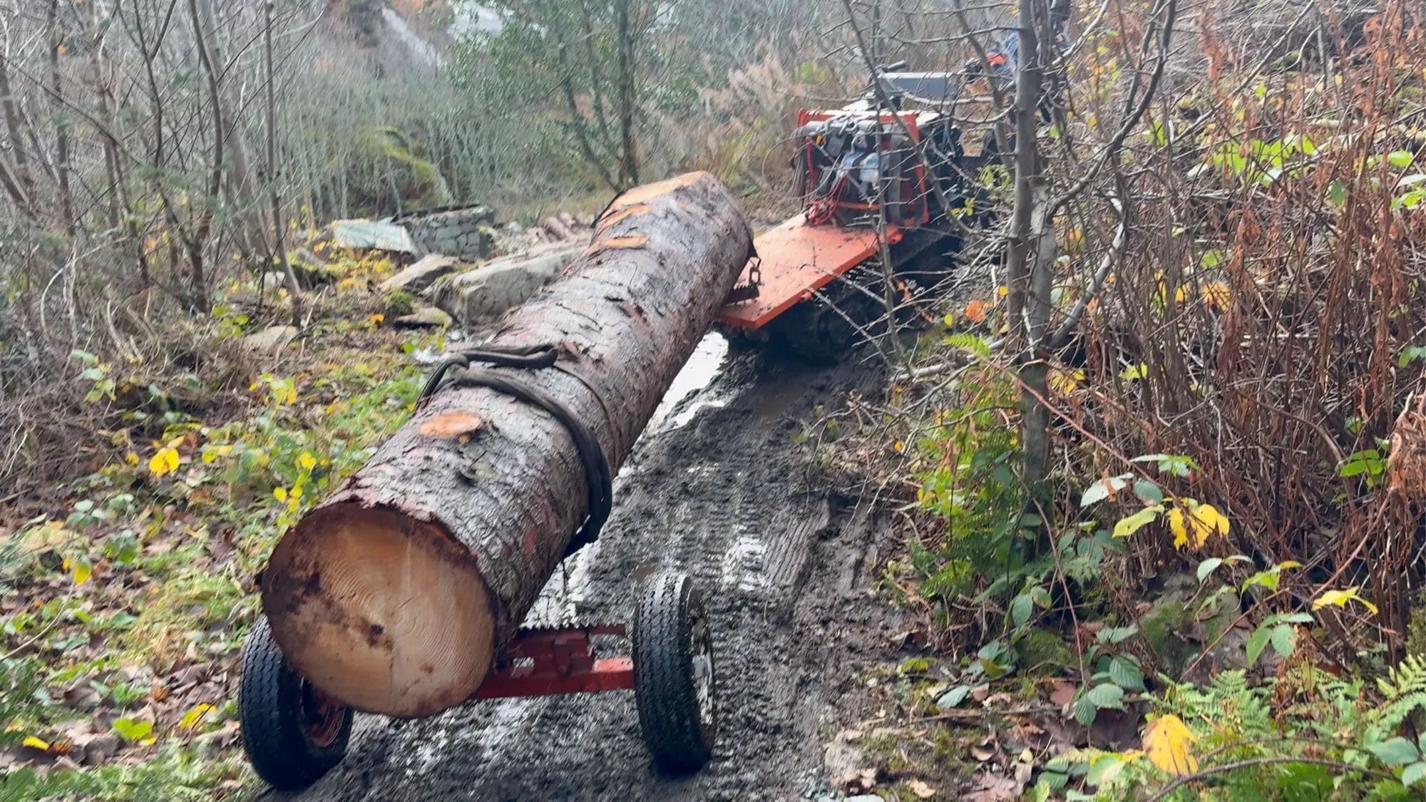 A spruce log strapped to a wheeled cart, hauled up a muddy track by a small motorised winch