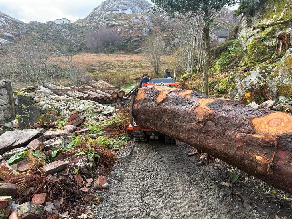 A large spruce log moved by a tracked carrier through rocky terrain, stacked logs and a stone wall behind